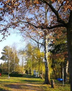 Großzügige  3-Zimmer Whg. in Rathenow West, mit Gartenanteil