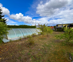 Garten mit Pool