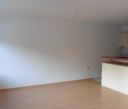 Wohnzimmer mit offener Küche (ohne EBK)